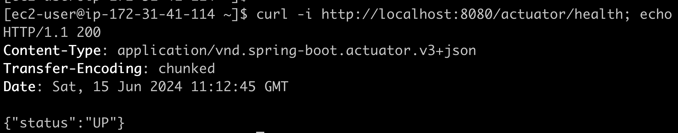 Spring Boot